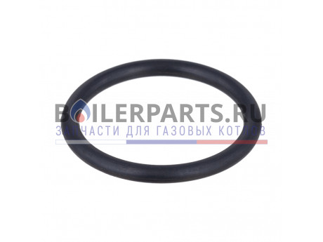 Уплотнительное кольцо для котлов Protherm 0020097224 OEM фото купить Уплотнительное кольцо для котлов Protherm 0020097224 OEM - цена с доставкой