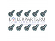 купить Винт (10 шт) для котлов Vaillant 0020198257 с доставкой