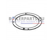 купить Прокладка флянца D100 (440017859) для котлов Rinnai BR-RE/UE 440017867 с доставкой