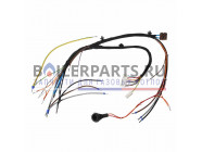 купить Жгут проводов для котлов Vaillant 0010026085 с доставкой