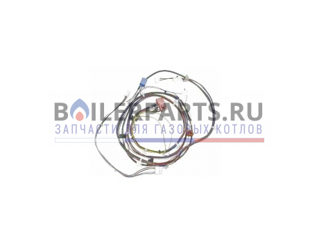 Жгут проводов для котлов Vaillant 0020041939 фото купить Жгут проводов для котлов Vaillant 0020041939 - цена с доставкой