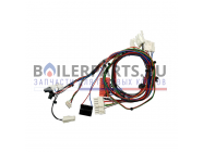 купить Жгут проводов для котлов Vaillant 0020048916 с доставкой