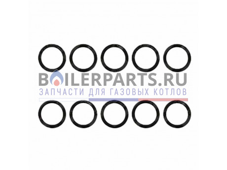 Прокладка (10 штук) для котлов Protherm 0020166932 фото купить Прокладка (10 штук) для котлов Protherm 0020166932 - цена с доставкой
