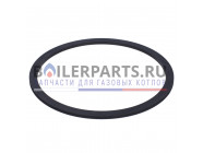 купить Прокладка насоса для котлов Protherm 0020221829 с доставкой