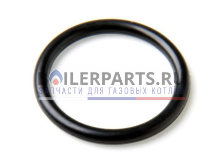 Уплотнительное кольцо (для входного насоса и корпуса F/S) Demrad (PK10) 3003200047 фото купить Уплотнительное кольцо (для входного насоса и корпуса F/S) Demrad (PK10) 3003200047 - цена с доставкой