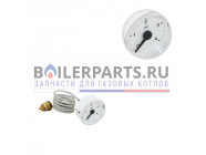 купить Манометр для котлов Ferroli 39807930 с доставкой