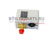 купить Датчик давления KPI 35 – 8 бар, G1/4" для котлов Thermona 43631 с доставкой