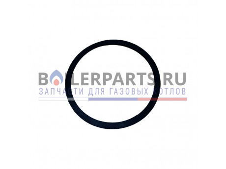 Кольцо уплотнительное циркуляционного насоса Wilo для газовых котлов 760697158 фото купить Кольцо уплотнительное циркуляционного насоса Wilo для газовых котлов 760697158 - цена с доставкой
