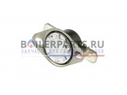 купить Термостат 75°C для котлов Thermex 900592 с доставкой