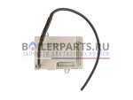 купить Устройство импульсное с иглами поджига и контроля пламени для котлов Thermex Edisson P 24 MD 902009 недорого
