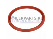 купить Уплотнение фигурное, кольцеобразное для котлов Vaillant 980621 с доставкой