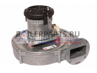 Купить Вентилятор Ebmpapst RG148/1200-3633-011214 для котлов Beretta R105931 - цены