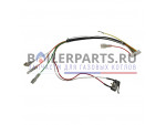 Микропереключатель с проводкой для газовой колонки Ariston 60001174 купить Микропереключатель с проводкой для газовой колонки Ariston 60001174 недорого