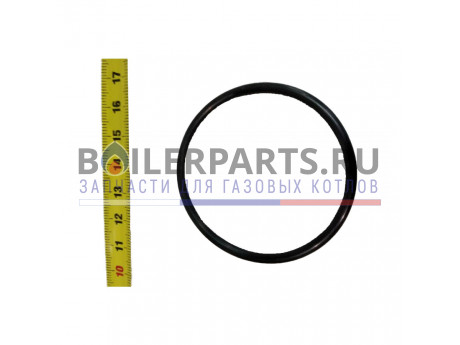 Уплотнение кольцевое газового клапана для котлов Baxi 695794 фото купить Уплотнение кольцевое газового клапана для котлов Baxi 695794 - цена с доставкой