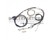 купить Жгут проводов E101d для котлов Protherm 0020034957 с доставкой