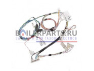купить Жгут проводов для котлов Protherm 0020118770 с доставкой