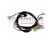 купить Проводка электрическая для котлов Baxi 8513640 с доставкой