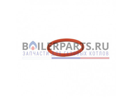 Уплотнительное кольцо o-ring P36 для котлов Rinnai 490002901 фото купить Уплотнительное кольцо o-ring P36 для котлов Rinnai 490002901 - цена с доставкой