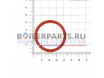 Уплотнительное кольцо o-ring P36 для котлов Rinnai 490002901 купить Уплотнительное кольцо o-ring P36 для котлов Rinnai 490002901 недорого