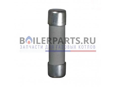 Предохранитель F 100 МА/35 для котлов Protherm 0020033592 фото купить Предохранитель F 100 МА/35 для котлов Protherm 0020033592 - цена с доставкой