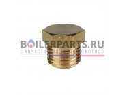 купить Заглушка гидроблока 1/8" для котлов Protherm 0020033860 с доставкой