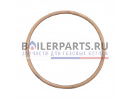 купить Прокладка вентилятора для котлов Protherm 0020034094 с доставкой