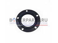 купить Прокладка крышки фланца 45l SANI для котлов Protherm 0020035066 с доставкой