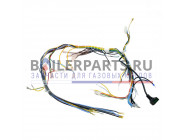 купить Жгут проводов для котлов Protherm 0020035096 с доставкой