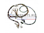купить Жгут проводов для котлов Protherm 0020035565 с доставкой