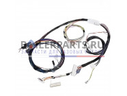 купить Жгут проводов для котлов Protherm 0020044908 с доставкой