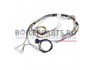 купить Жгут проводов для котлов Protherm 0020044912 с доставкой