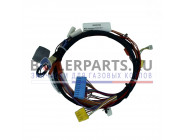 купить Жгут проводов для котлов Protherm 0020097960 с доставкой