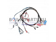 купить Жгут проводов для котлов Protherm 0020101523 с доставкой