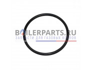 купить Прокладка для котлов Protherm 0020195587 с доставкой