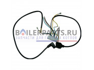 купить Проводка электрическая для котлов Baxi 8513930 с доставкой