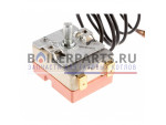 купить Термостат регулируемый WY 70/75°C для котлов Thermex Alfa 904616 недорого
